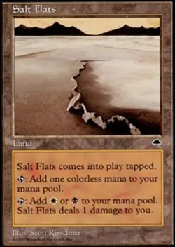 1x Salt Flats Moderate Play MTG Magic - Kid Icarus - - Image 1