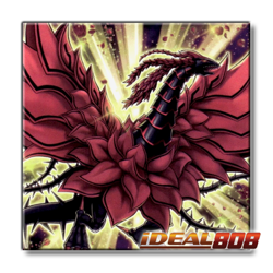 PRE-SALE YUGIOH x3 L26D-ENX39 BLACK ROSE MOONLIGHT DRAGON - COMMON 1st EDITION - Image 1