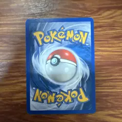 Pokemon TCG Teddiursa 109/144 Skyridge Regular Common 40HP Basic - Image 2