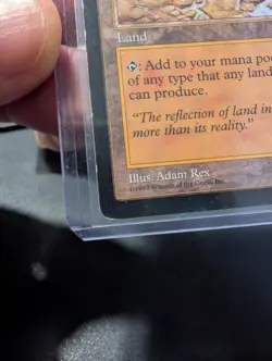 Reflecting Pool *MTG* First Printing NM *Tempest* Sent With Sleeve & Top Loader - Image 4