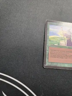 HP Fastbond, English Beta MTG Magic See Photos - Image 4