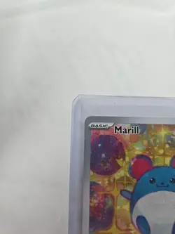 Pokemon TCG Marill Ascended Heroes 232/217 Near Mint Illustration Rare English - Image 2
