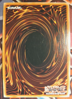 Cornfield Coatl OP24-EN007 Super Rare Yugioh Card - Image 2