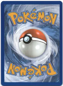 Dachsbun ex 160/142 Ultra Rare Stellar Crown Pokemon Holo NM - Image 2