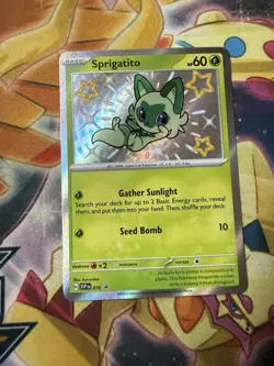 Sprigatito ⭐ 076 Holo Promo Scarlet & Violet 2023 Pokemon NM - Image 1
