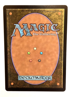 MTG - Sunderflock (Showcase) / Lorwyn Eclipsed / Regular / NM - Image 2