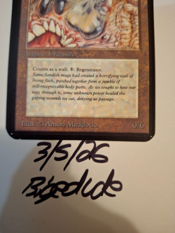 MTG Alpha Living Wall w strange cut - bigedude - Image 4