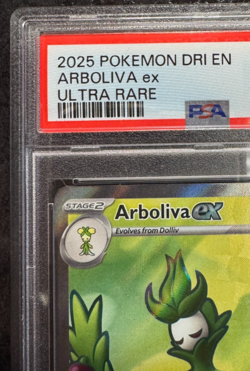 2025 Pokemon Arboliva ex #207 Ultra Rare 💎 PSA 9 Mint Scarlet & Violet - Image 4