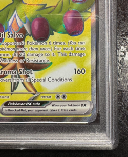 2025 Pokemon Arboliva ex #207 Ultra Rare 💎 PSA 9 Mint Scarlet & Violet - Image 5