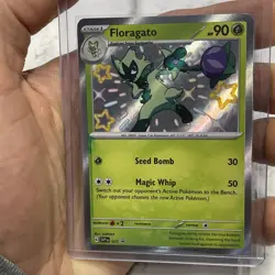 Pokemon Card Floragato 077 Black Star Promo - Near Mint NM/MT Nintendo 2024 TCG - Image 1
