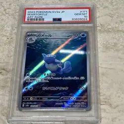 2023 POKEMON JPN SV2A-POKEMON 151 ART RARE #171 WARTORTLE PSA 10 GEM MINT - Image 1