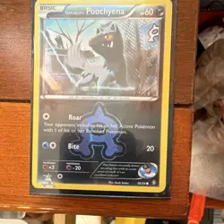 Team Aqua's Poochyena 16/34 Regular - Double Crisis Pokemon TCG Card - Image 1