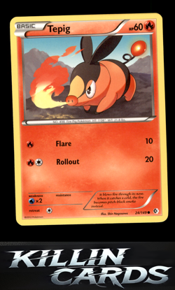 Tepig 24/149 Pokemon Common Boundaries Crossed Card NM - Image 1