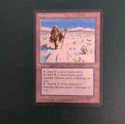 Wizards of the Coast Adarkar Wastes Ice Age Rare Land Regular Mike Raabe - Image 1