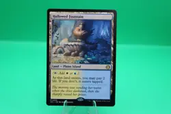 Hallowed Fountain 0265 Rare Lorwyn Eclipsed Magic: The Gathering - Image 1