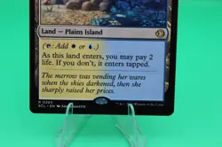 Hallowed Fountain 0265 Rare Lorwyn Eclipsed Magic: The Gathering - Image 4