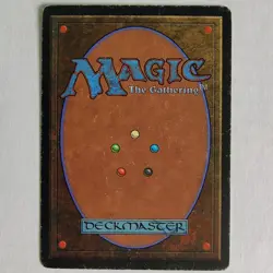 Taiga - HP - Revised Edition 3ED - MTG - Image 2