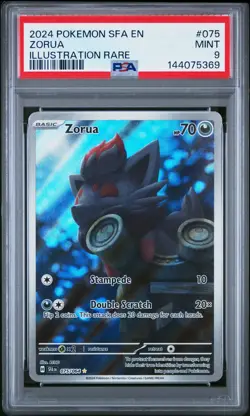 2024 POKEMON SFA EN-SHROUDED FABLE ILLUSTRATION RARE #075 ZORUA PSA 9 - Image 1