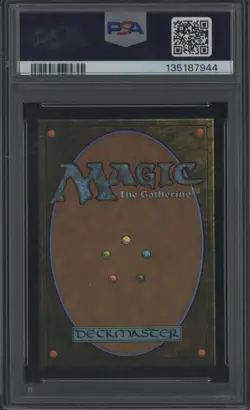 2025 MTG SPM EN Scene Borderless #0206 Multiversal Passage PSA 10 GEM MINT - Image 2