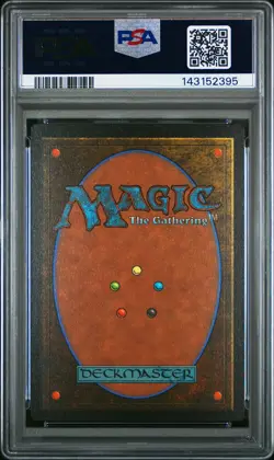 2025 Magic The Gathering Secret Lair #1996 Frantic Search Spider-Man-Foil PSA 8 - Image 2