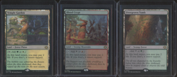 MTG Lorwin Eclipse Lot of (3) Lands Bloodcrypt Temple Garden Overgrown Tomb - Image 1