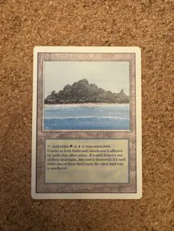 Magic MTG Revised Tropical Island Duel Land - Image 1