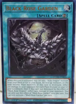 Yugioh! Black Rose Garden - DOOD-EN055 - Ultra Rare - 1st Edition Near Mint, Eng - Image 1