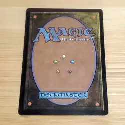 1x Tidus, Yuna's Guardian, Borderless Art Surge Foil 0213, Magic MTG NM - Image 2