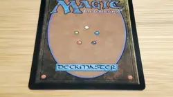 1x Tidus, Yuna's Guardian, Borderless Art Surge Foil 0213, Magic MTG NM - Image 3