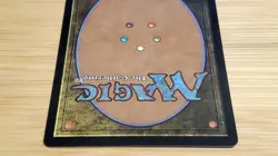 1x Tidus, Yuna's Guardian, Borderless Art Surge Foil 0213, Magic MTG NM - Image 4