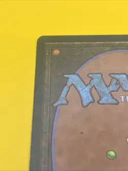 MTG 1x Phyrexian Devourer Alliances LP/DMG (See Pics) - Image 5