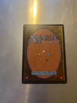 Savannah Lions 4th Edition Magic Cards MP, COMBINED SHIPPING - Image 2