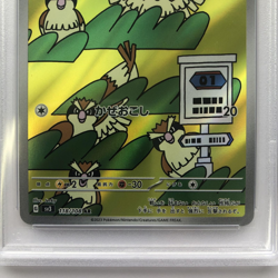 PSA 10 Japanese Pokemon Pidgey AR 118/108 SV3 Ruler of the Black Flame Japan - Image 5
