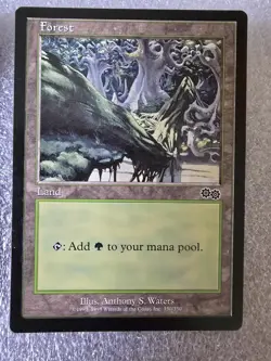 Old School Vintage Magic The Gathering MTG Urza's Saga Land Set Forest - Image 3
