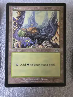 Old School Vintage Magic The Gathering MTG Urza's Saga Land Set Forest - Image 5