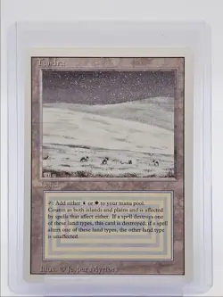 TUNDRA 1994 MAGIC THE GATHERING LAND Q3562 - Image 1
