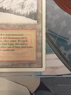 Taiga Dual Land MTG - Magic The Gathering -Revised Edition- HP - Image 4