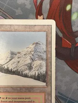 Taiga Dual Land MTG - Magic The Gathering -Revised Edition- HP - Image 5