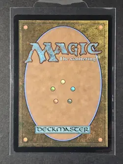 MTG Splinter of the Shadows Borderless Non-foil M 6 Teenage Mutant Ninja Turtles - Image 2