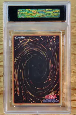 DARK MAGICIAN GIRL Waifu Goddess Card CUSTOM MADE Black Label - Image 3