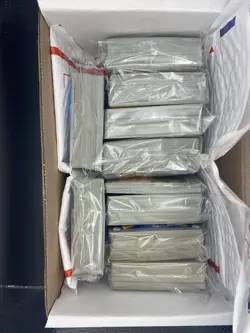 900+ Japanese Pokemon Cards UNSEARCHED Bulk Lot (C/UC/R) + Guaranteed EX/V (RR+) - Image 2