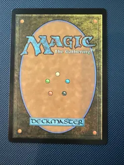 MTG Windbrisk Heights (436) - Secret Lair Drop Series (SLD) NM - Image 2