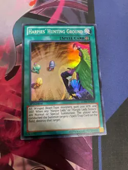 YUGIOH - HARPIES' HUNTING GROUND - SUPER RARE - 1ST ED - LCJW - LP - Image 1