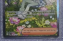 Pokemon TCG Wally's Compassion 186/132~Special Illustration Rare~2 Gold Stars - Image 2