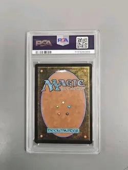 Arid Desert Dragonscale Foil PSA 8 - POP 6 - Image 2