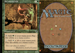 Magic the Gathering -MTG- Skyshroud Elf LP - Image 1