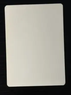 Magic MTG Italian Revised Island Artist Proof Near Mint - Only 50 Exist! - Image 2