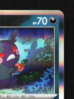 Morpeko 051/066 NM Ancient Roar Japanese Pokemon Card TCG - Image 5