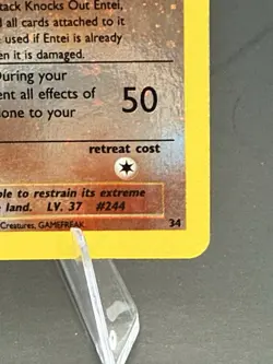 Pokemon TCG Entei Wizards Black Star Promos 34 Holo Promo - Image 5