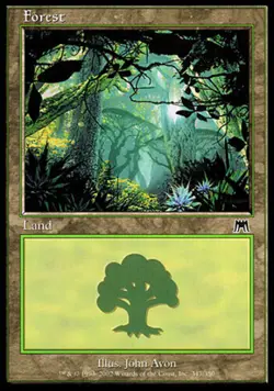 Forest (347) - Foil NM, English MTG Onslaught - Image 1